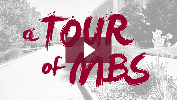 A Tour of MBS